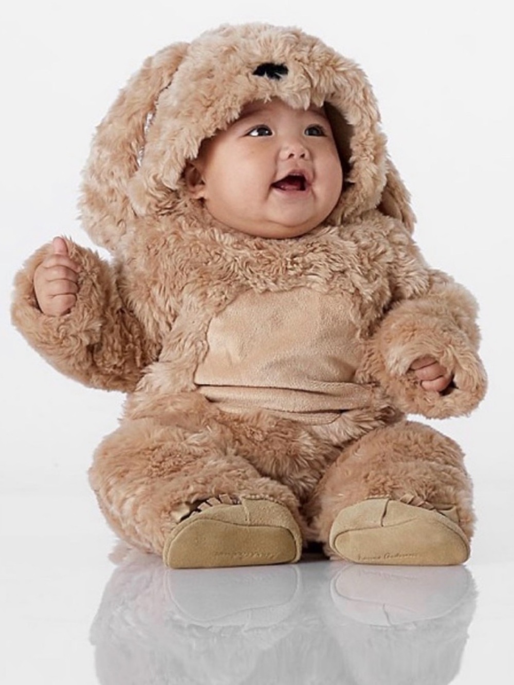 Pottery Barn Kids Labradoodle Dog Costume 6-12 Months